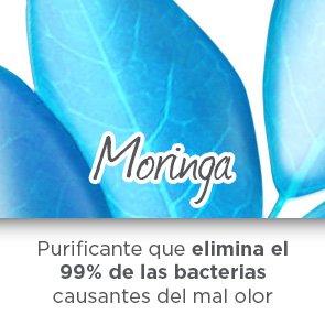 garnier-bio-antitranspirante-moringa
